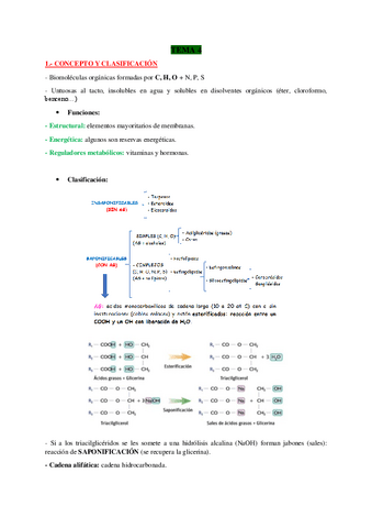 TEMA-4-BIO.pdf