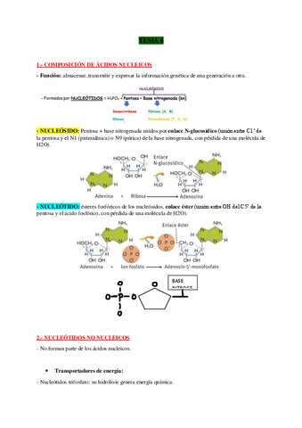 TEMA-6-BIO.pdf