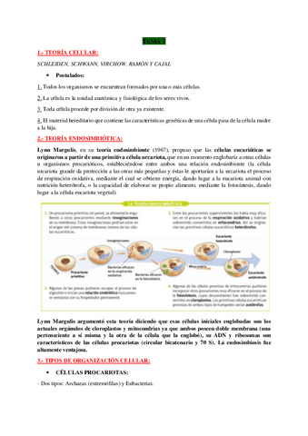 TEMA-7-BIO.pdf