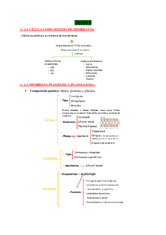 TEMA-9-BIO.pdf