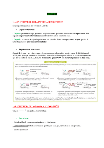 TEMA-15-BIO.pdf