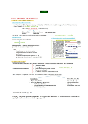 TEMA-16-BIO.pdf