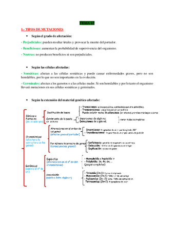 TEMA-17-BIO.pdf