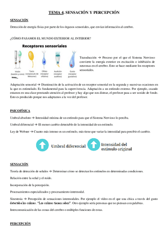 APUNTES-TEMA-4.pdf