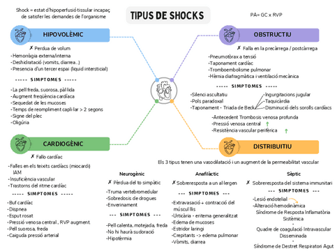 Tipus-de-Shocks-esquema.pdf