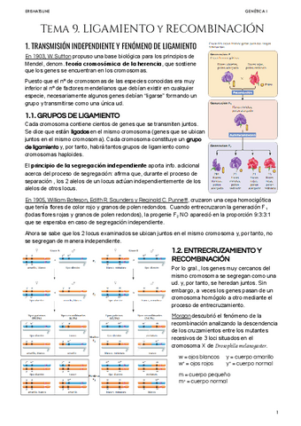Tema-9-Ligamiento-y-Recombinacion.pdf
