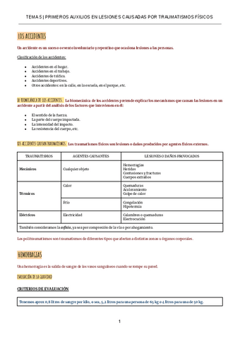 TEMA-5.pdf