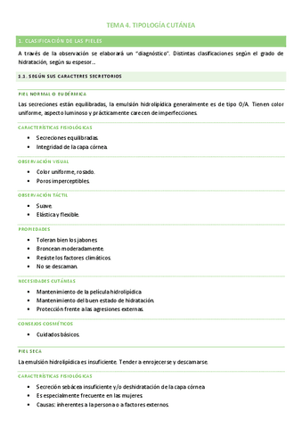TEMA-4.pdf