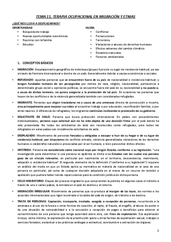 T11.-TO-EN-MIGRACION-Y-ETNIAS.pdf
