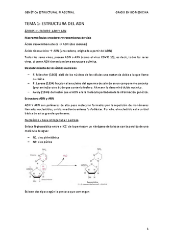 TEMA-1-mis-apuntes-MG.pdf