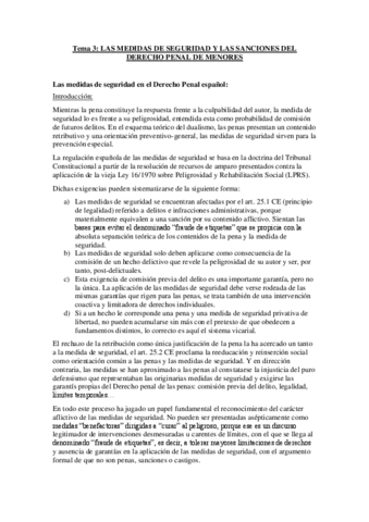 Medidas-y-sanciones-penales-en-menores.pdf