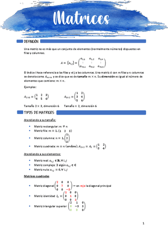 Matrices.pdf