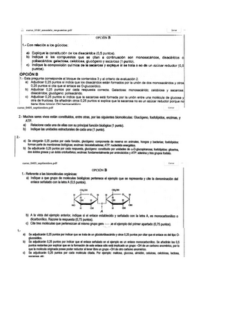 Actividades-T3.pdf