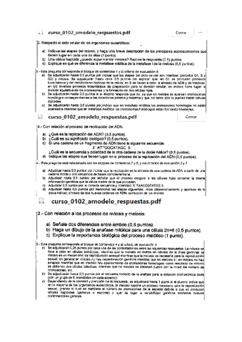 Actividades-T8.pdf