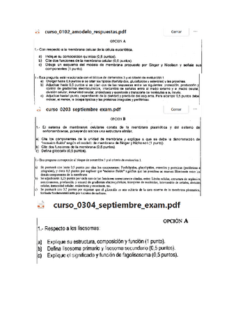 Actividades-T9.pdf