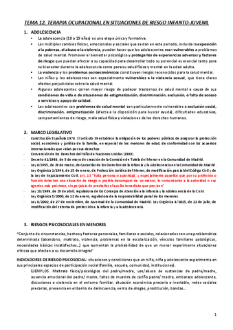 T12.-TO-EN-SITUACIONES-DE-RIESGO-INFANTO-JUVENIL.pdf