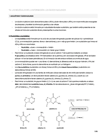 t6.-las-moleculas-de-la-informacion-los-acidos-nucleicos.pdf