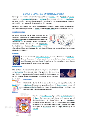 Embriologia-tema-6.pdf