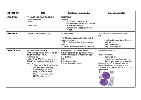 Enfermedades-leucocitarias.pdf