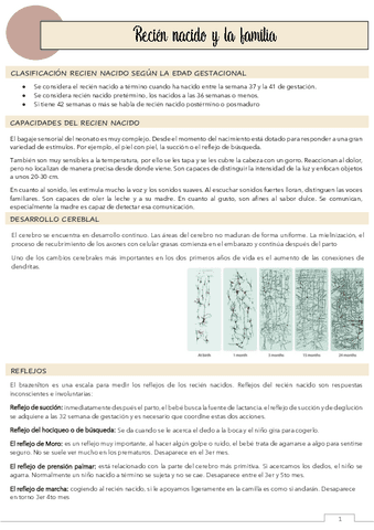 T1.-RECIEN-NACIDO-Y-LACTANTE.pdf