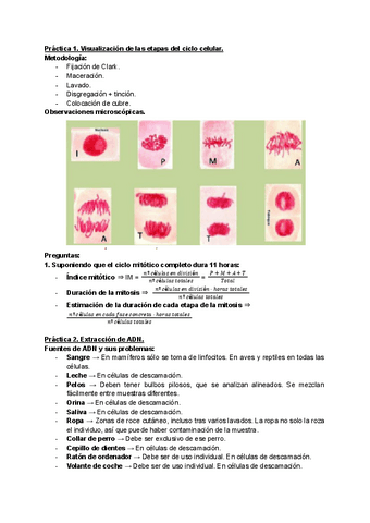 Practicas-genetica.pdf