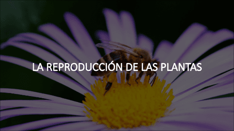 Reproducion-de-las-plantas.pdf