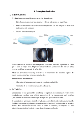 4.-Patologia-del-cristalino.pdf