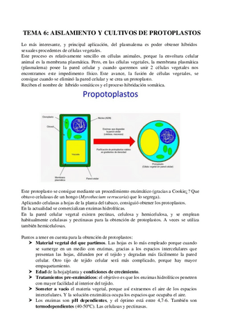 TEMAS-6-7-PTA.pdf