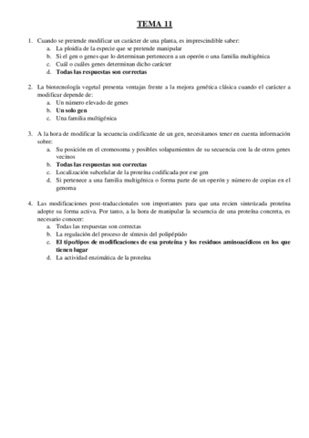 TEST-prado.pdf