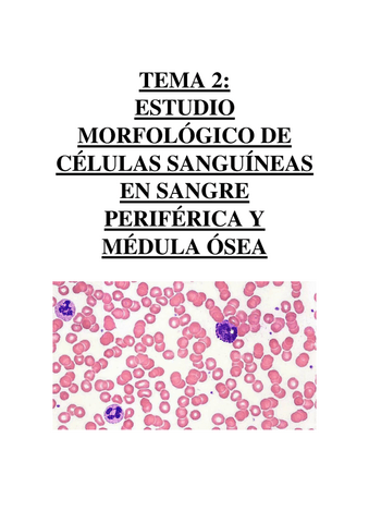 TEMA 2 - ESTUDIO MORFOLÓGICO DE CÉLULAS SANGUÍNEAS EN SANGRE PERIFÉRICA Y MÉDULA ÓSEA.pdf