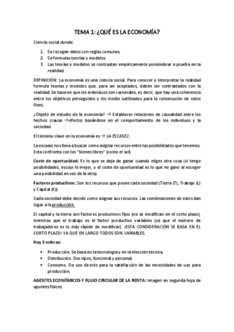 APUNTES-FINALES-ECONOMIA-I.pdf