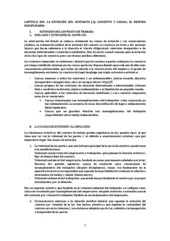 CAPITULO-XXV.pdf