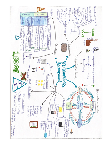 Mapas-t1y2-economia.pdf