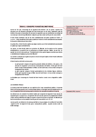Dret-Penal-I-1-quatri-21-22.pdf