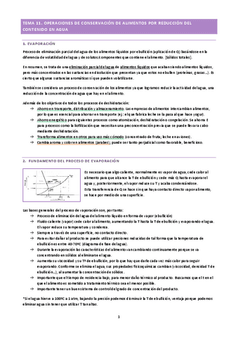 OPIA-Tema-11.pdf