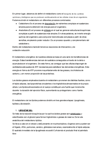 METABOLISMO-LIPIDOS.pdf