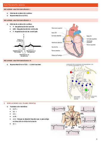 ELECTOGRAFIA-BASICA.pdf