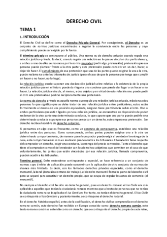 CIVIL ENTERO.pdf