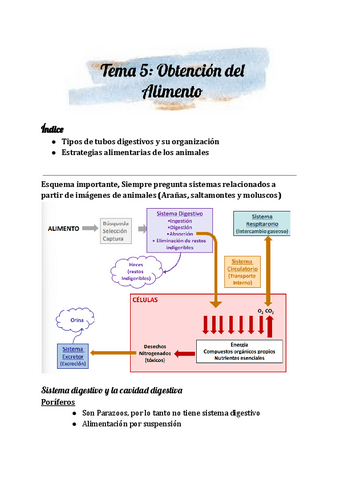 Tema 5 -Zoología.pdf