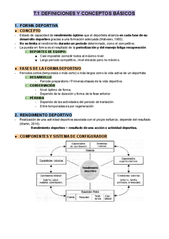 T.1-DEFINICIONES-Y-CONCEPTOS-BASICOS.pdf