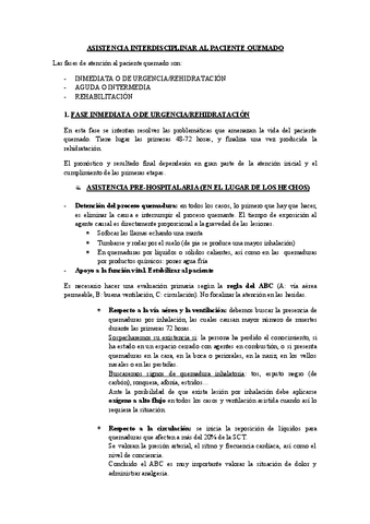 3.-ASISTENCIA-INTERDISCIPLINAR-AL-PACIENTE-QUEMADO-1802.pdf
