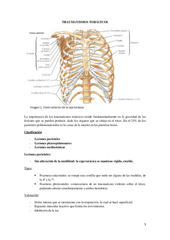 9.-TRAUMATISMOS-TORACICOS-Y-PELVIS.pdf