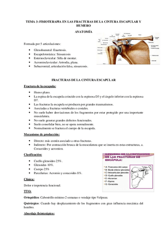 Tema-3-fractura-cintura-escapular-y-humero.pdf