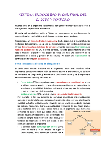 SISTEMA-ENDOCRINO-V.pdf
