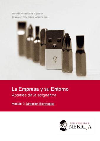 2-Direccion-Estrategica.pdf