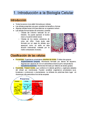 1.-Introduccion-a-la-Biologia-Celular.pdf