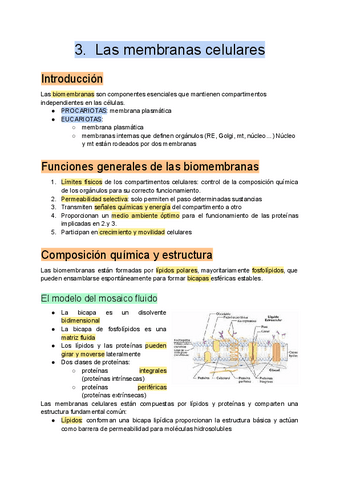 3.-Las-membranas-celulares.pdf