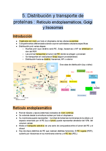 5.-Distribucion-y-transporte-de-proteinas.pdf