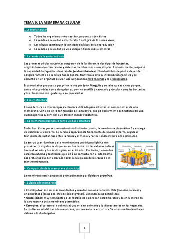 TEMAS-6-7-8-9-11.pdf