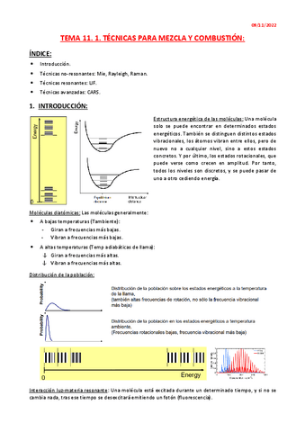 TEMA-11.1-ENSAYOS.pdf